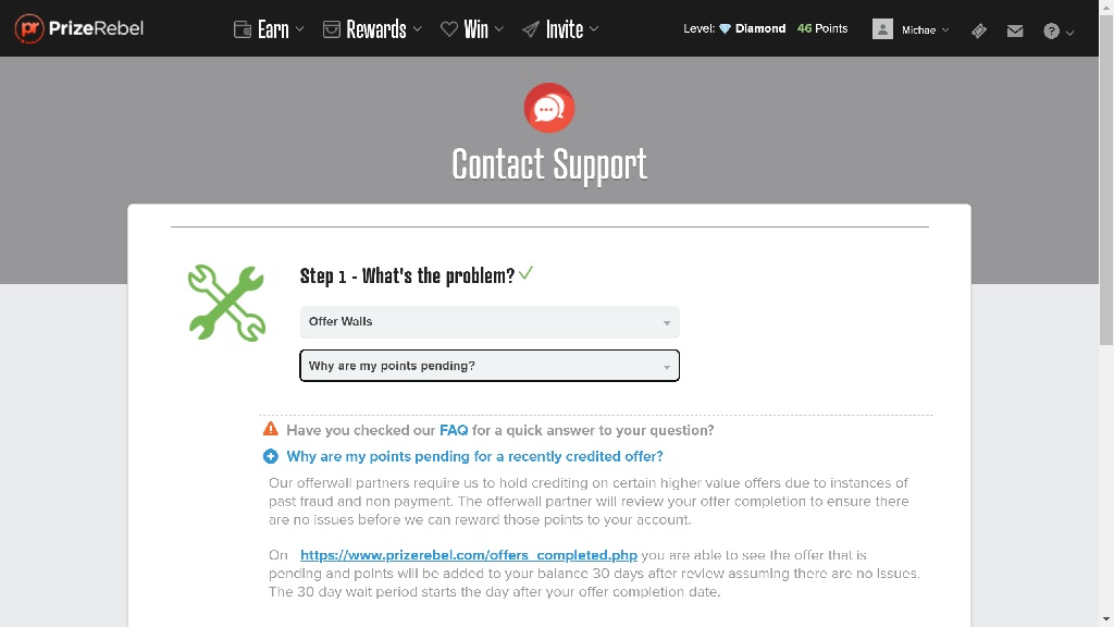 prizerebel support image 1 - Paid Surveys Fanatic prizerebel australia review support