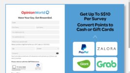 OpinionWorld Singapore homepage screenshot 1024