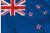 Best paid surveys NZ: Easy and reliable earnings!